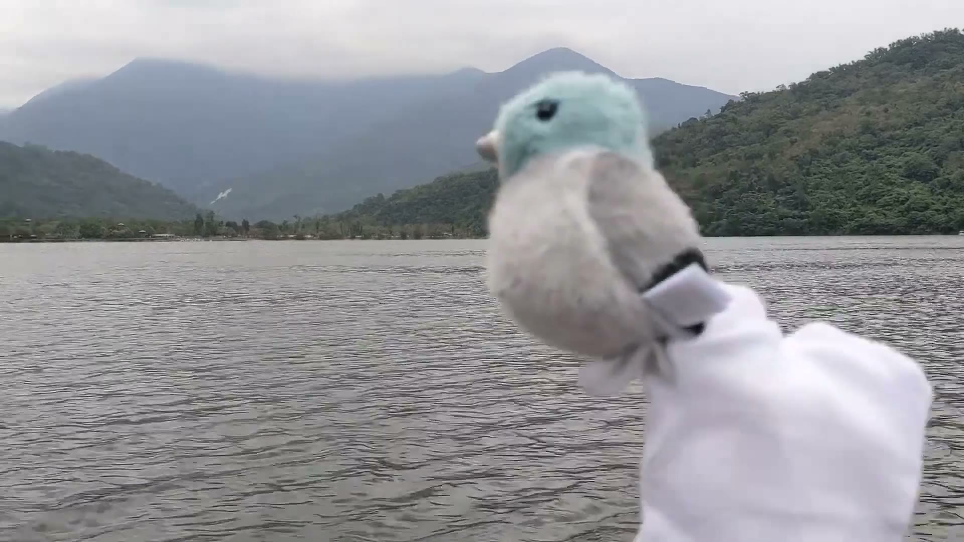 Video