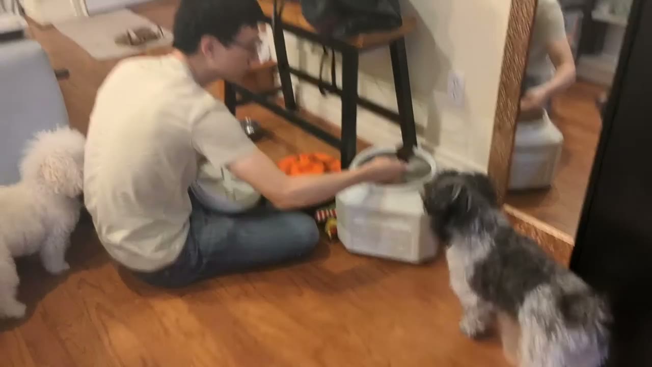 Video