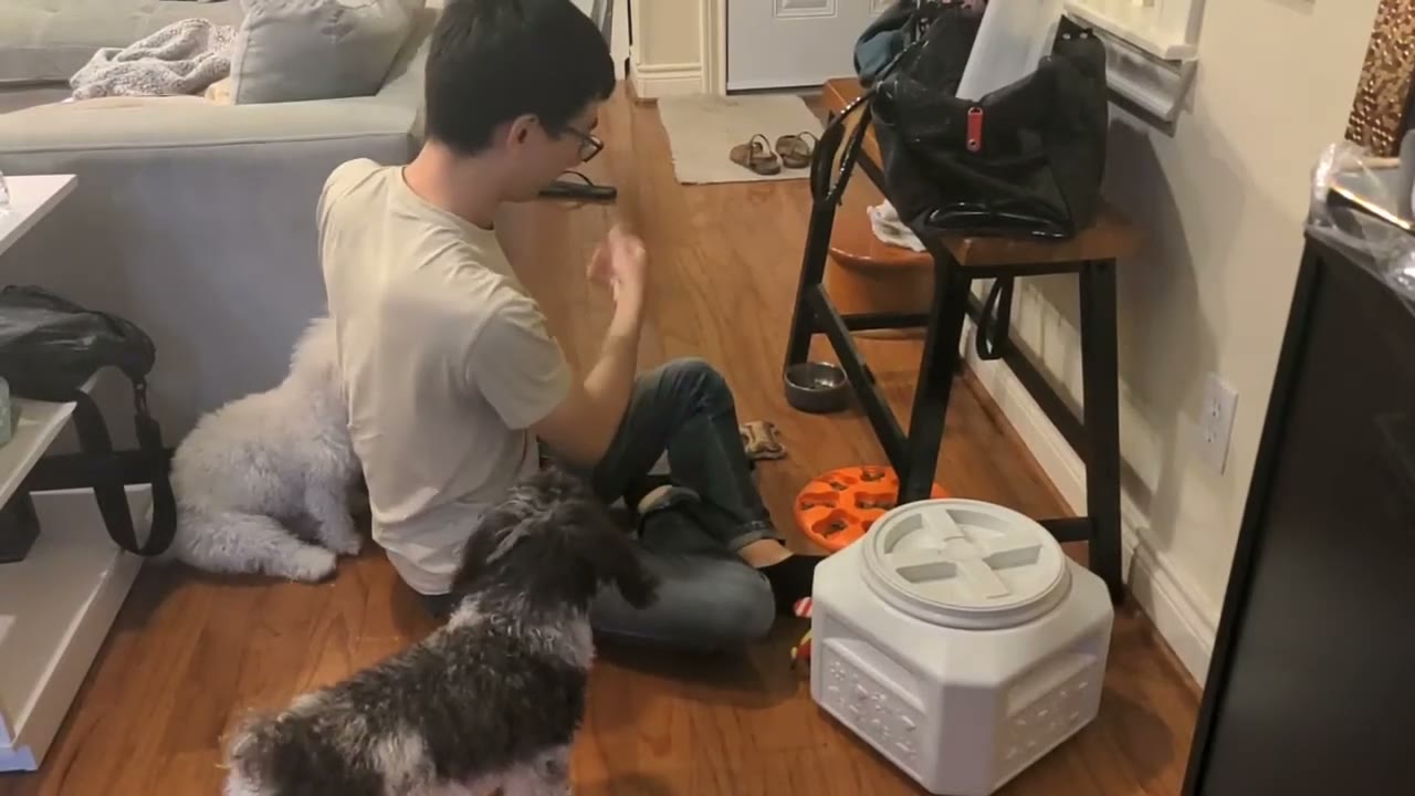 Video